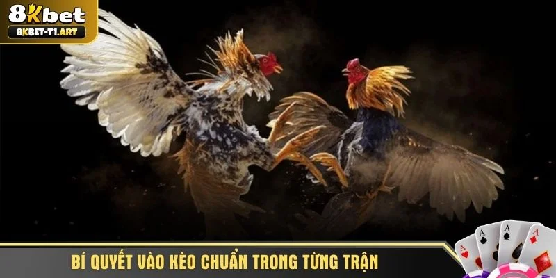 Bí quyết vào kèo chuẩn trong từng trận