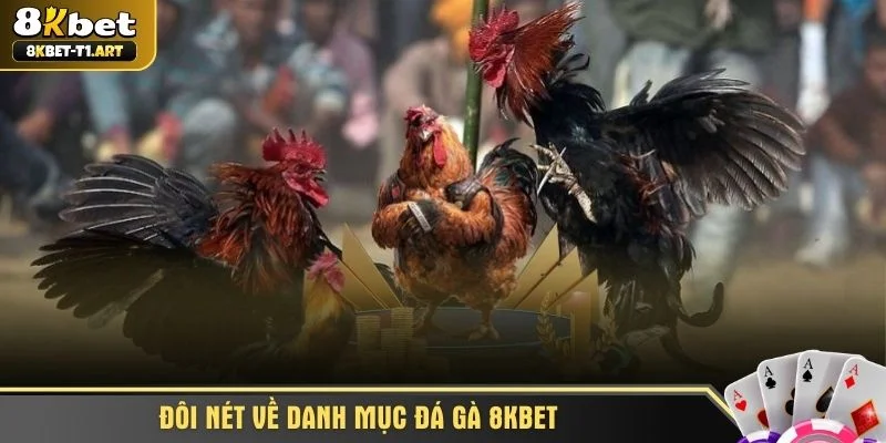 Đôi nét về danh mục đá gà 8KBET